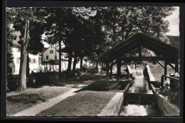 AK Kandern /Baden, Partie Im Stadtgarten  - Kandern