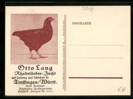 AK Trossingen /Württ., Otto Lang, Rhodeländer-Zucht  - Trossingen