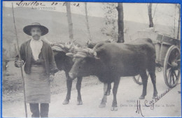 L'Auvergne.cantal.region D'Aurillac.gens De Chez Nous.sur La Route.attelage De Bœufs.paysan - Auvergne