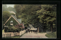 Pc Castle Eden, Dene Lodge  - Other & Unclassified