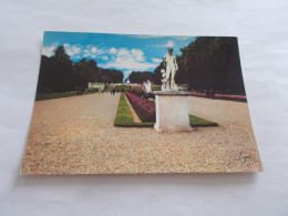 SAINT CLOUD ( 92 Hauts De Seine )  LE PARC  ALLEE DES STATUES  VUE ANIMEES  COLORISER - Saint Cloud