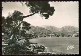 CARNOLES Vue Prise De Cap Martin édition Estel  Roquebrune Cap Martin  VV 1619 - Roquebrune-Cap-Martin