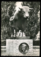 SAULIEU Le Taureau Sculture De Pompon édition Cim VV 1649 - Saulieu