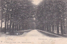 482819Zwolle, Wipstrikker Allée. (poststempel 1905)(kleine Beschadiging Linksonder) - Zwolle