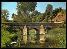 SAINT CENERI LE GEREI Le Pont Sur La Sarthe édition Jipe Carte Rare - Andere & Zonder Classificatie