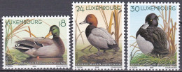 Luxemburg 2000 - Mi.Nr. 1503 - 1505 - Postfrisch MNH - Tiere Animals Vögel Birds Enten Ducks - Canards