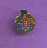 Rare Pins Politique Syndicat Fo Force Ouvriere Gers France Telecom La Poste Q823 - France Telecom