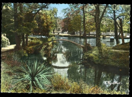 MASSY Petit Pont Situé Entre Massy Et Palaiseau édition Yves Hobert Carte Rare  - Massy