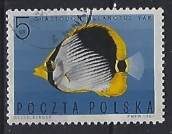 Poland 1967  Exotische Fische  (o) Mi.1748 - Gebraucht