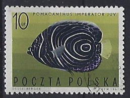 Poland 1967  Exotische Fische  (o) Mi.1749 - Gebraucht