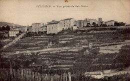 PELUSSIN      ( LOIRE )    VUE GENERALE DES CROIX   ( UNE ROUSSEUR EN HAUT , AU CENTRE ) - Pelussin