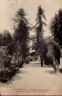 PELUSSIN      ( LOIRE )    INSTITUTION DE JEUNES FILLES . PENSIONNAT DES CROIX  . UN COIN DU JARDIN - Pelussin