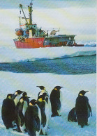 Brazil Base Ferraz Postcard Kaiser-Pinguine Vor Der Polarqueen Ca Base Ferraz 13 MAR 1999 (60318) - Bases Antarctiques