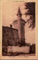 PELUSSIN      ( LOIRE )      LE VIEUX CHATEAU - Pelussin