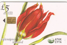 Cyprus, CYP-C-144, 0306CY, Wild Flowers Of Cyprus, Tulipa Oculus - Solis, 2 Scans. - Cyprus