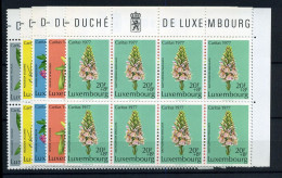 Luxembourg - 907/11 En Block De 8  - MNH ** - Caritas 1977 - Neufs