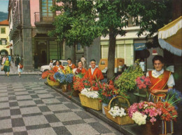 135112 - Funchal - Portugal - Floristas - Madeira