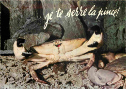 Animaux - Crabe - CPM - Voir Scans Recto-Verso - Poissons Et Crustacés