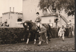 Original Foto Vom Reitturnier In Aachen, Alwin SCHOCKEMÖHLE (D) 1960 ( 436  ) - Horse Show