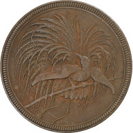 Nouvelle-Guinée Allemande, 10 Pfennig, 1894, Berlin, Cuivre, TTB, KM:3 - German New Guinea