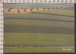 094238GF/ Fritz DRESSLER, *Zeichen In Der Landschaft*,  - Autres & Non Classés