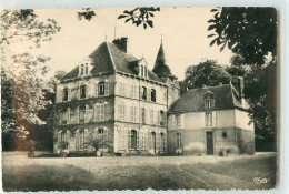 33392 - CHAMPIGNY SUR YONNE - CPSM - LE CHATEAU - Champigny