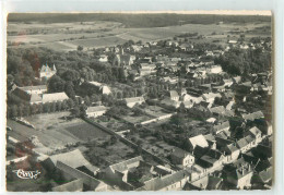 33388 - CHAMPIGNY SUR YONNE - CPSM - VUE AERIENNE SUR L ALLEE DES PLATANES  - Champigny