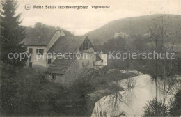 43349243 Mullerthal_Petite_Suisse Vogelsmuehle - Andere & Zonder Classificatie