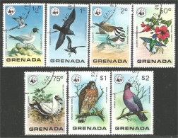 460 Grenada WWF Petrel Pigeon Ramier Hawk Faucon Hummingbird Oiseau-mouche Colibri (GRE-178) - Gebruikt