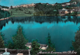 CARTOLINA  ALTIPIANO DI LAVARONE M.1171 TRENTO TRENTINO ALTO ADIGE IL LAGO VIAGGIATA 1960   Y11 - Trento