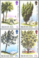 291785 MNH BERMUDAS 1973 AÑO REFORESTACIÓN - Bermuda