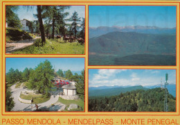 CARTOLINA  D1 PASSO MENDOLA M.1363 TRENTO TRENTINO ALTO ADIGE MOTIVI DEL MONTE PENEGAL M.1740-VACANZA-VIAGGIATA 1988 - Trento