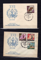 URSS - 1960 - 2  Enveloppes - Jeux Olympiques  De Rome - - Storia Postale