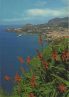 32849 - Portugal - Funchal - Vista Oeste - 1987 - Madeira
