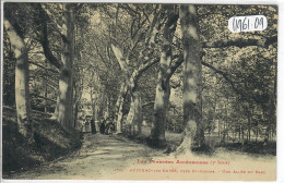 AUDINAC-LES-BAINS- ENVIRONS DE ST-GIRONS- UNE ALLEE DU PARC-  LABOUCHE 176 - Saint Girons