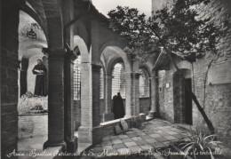 9012 - Italien - Assisi - Patriachalische Domkirche - Ca. 1965 - Other & Unclassified