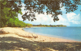 Barbados - ST. PETER - Six Men's Bay - Publ. Wayfarer Bookstore Ltd. BB12 - Barbados (Barbuda)