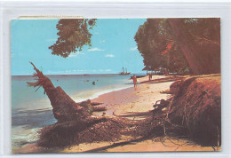 BARBADOS - St. James Coast - Beach Scene - Publ. Wayfarer Bookstore Ltd.  - Barbados (Barbuda)