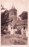 Buckinghamshire  - CHESHAM BOIS - Church And Cemetery - Surrey