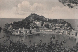 80345 - Italien - Sestri Levante - Panorama - 1965 - Genova (Genoa)