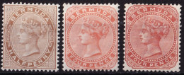 Bermuda. 1890-1904  Y&T. 15, 16, 28, MH. - Bermuda