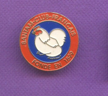 Rare Pins Poule Naine Bantam Club Francais Fonde En 1899 Q576 - Animals