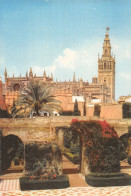 Espagne SEVILLA - Sevilla