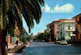 CHIAVARI / VIALE DELLE PALME - Genova (Genoa)