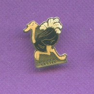 Rare Pins Autruche Joggers Gestel Morbihan Bretagne Q611 - Animals