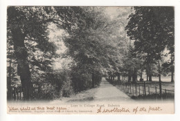 Dulwich - Lane In College Road - Old Albert Flint London Postcard - London Suburbs