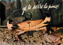 Animaux - Crabe - CPM - Voir Scans Recto-Verso - Poissons Et Crustacés