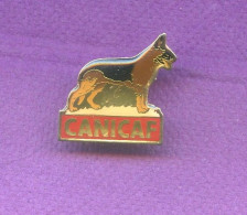 Rare Pins Chien Berger Allemand Canicaf Q513 - Animals