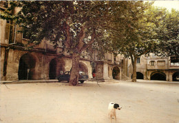 Sommieres, Place Du Marché (scan Recto-verso) KEVREN0085 - Sommières