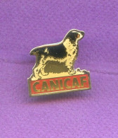 Rare Pins Chien Race A Definir Epagneul ? Canicaf Q538 - Animals
